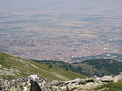 Bitola
